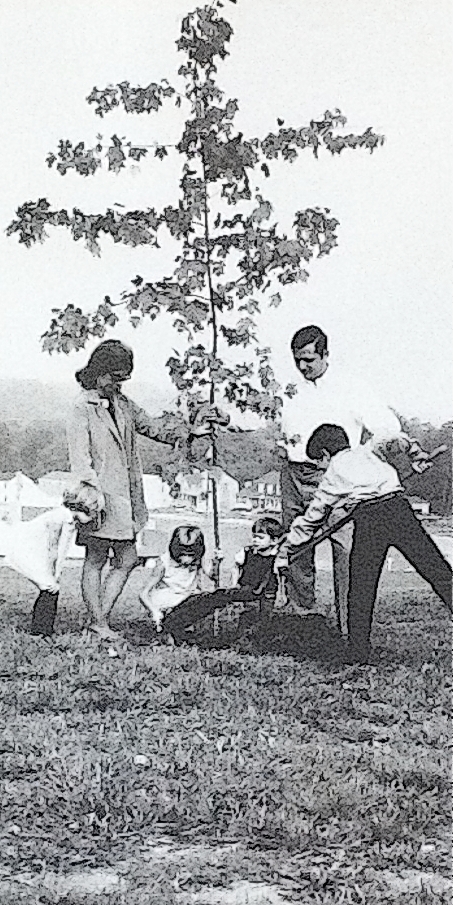 Family and Tree